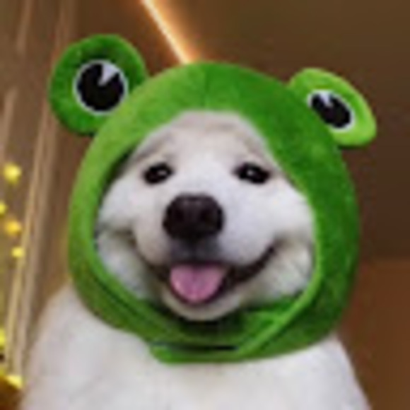 alexaohno177